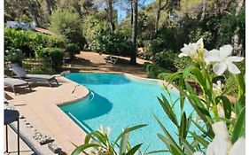 Un Oasis En Provence